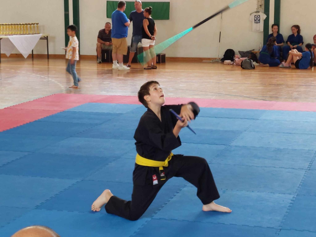 Tíz aranyat remélnek a formagyakorlatosok a kick-box vb-n